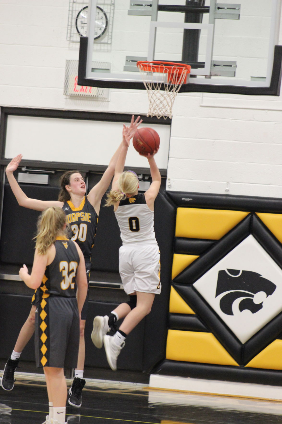 Bound Janesville Wildcats High School Athletics